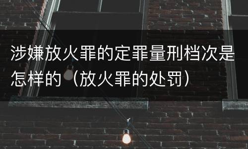 涉嫌放火罪的定罪量刑档次是怎样的（放火罪的处罚）
