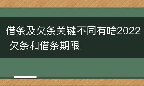 借条及欠条关键不同有啥2022 欠条和借条期限