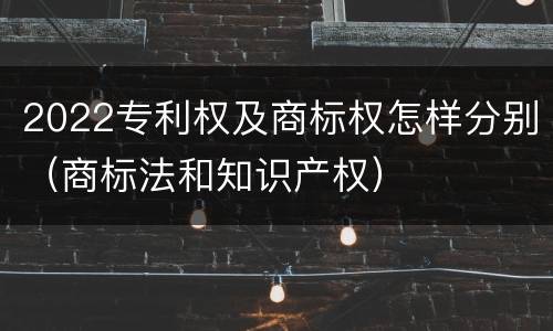 2022专利权及商标权怎样分别（商标法和知识产权）