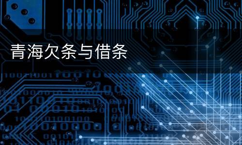 青海欠条与借条