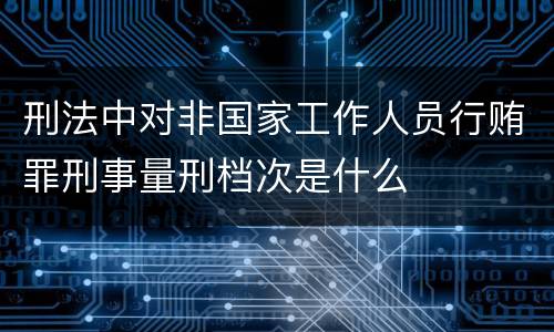 刑法中对非国家工作人员行贿罪刑事量刑档次是什么