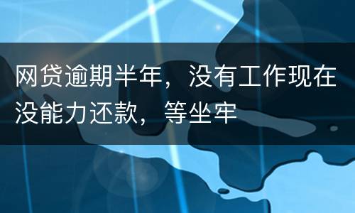 网贷逾期半年，没有工作现在没能力还款，等坐牢