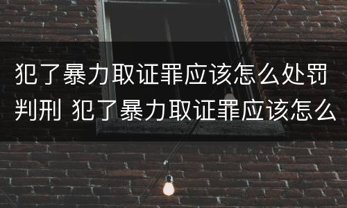 犯了暴力取证罪应该怎么处罚判刑 犯了暴力取证罪应该怎么处罚判刑的