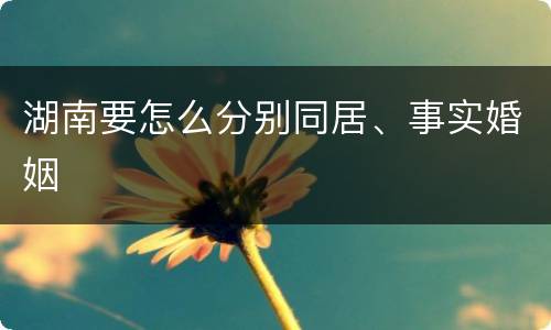 湖南要怎么分别同居、事实婚姻