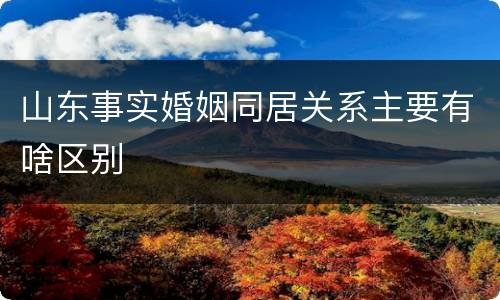 山东事实婚姻同居关系主要有啥区别