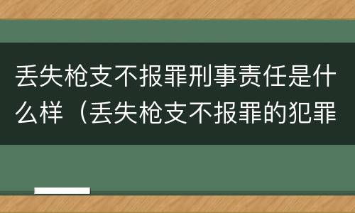 丢失枪支不报罪刑事责任是什么样（丢失枪支不报罪的犯罪主体只能是什么）
