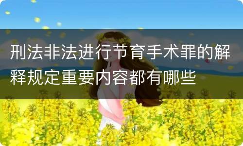 刑法非法进行节育手术罪的解释规定重要内容都有哪些