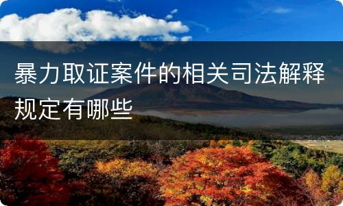 暴力取证案件的相关司法解释规定有哪些
