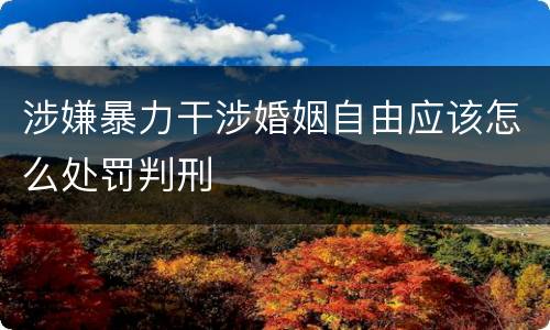 涉嫌暴力干涉婚姻自由应该怎么处罚判刑