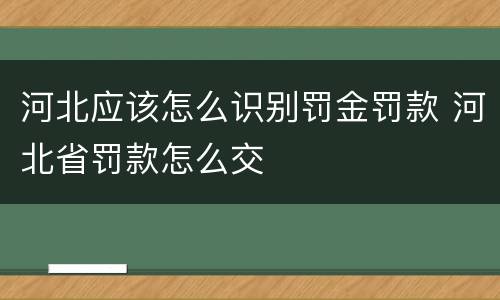 河北应该怎么识别罚金罚款 河北省罚款怎么交