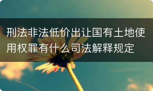 刑法非法低价出让国有土地使用权罪有什么司法解释规定