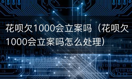 花呗欠1000会立案吗（花呗欠1000会立案吗怎么处理）
