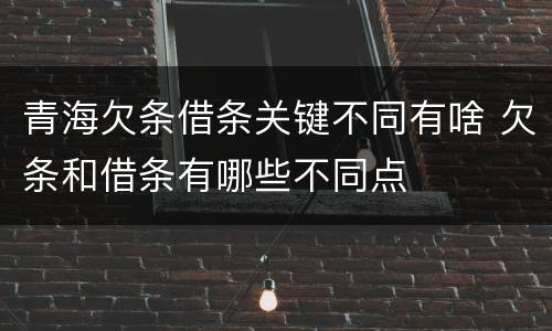 青海欠条借条关键不同有啥 欠条和借条有哪些不同点