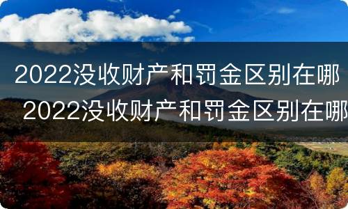 2022没收财产和罚金区别在哪 2022没收财产和罚金区别在哪儿