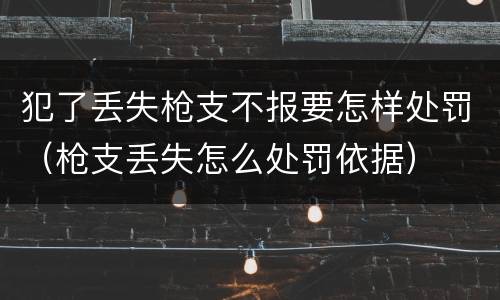 犯了丢失枪支不报要怎样处罚（枪支丢失怎么处罚依据）