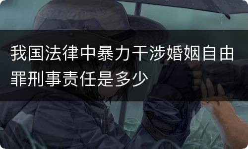 我国法律中暴力干涉婚姻自由罪刑事责任是多少