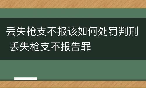 丢失枪支不报该如何处罚判刑 丢失枪支不报告罪