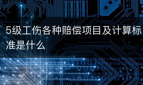 5级工伤各种赔偿项目及计算标准是什么