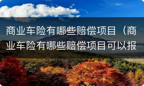 商业车险有哪些赔偿项目（商业车险有哪些赔偿项目可以报销）
