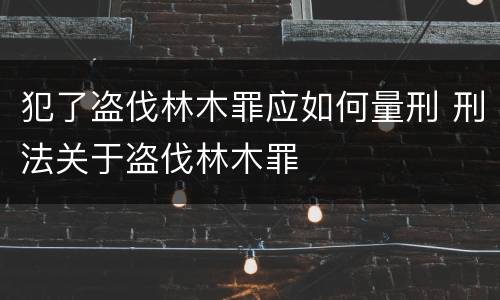 犯了盗伐林木罪应如何量刑 刑法关于盗伐林木罪