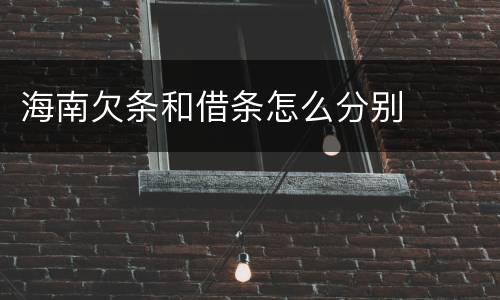 海南欠条和借条怎么分别