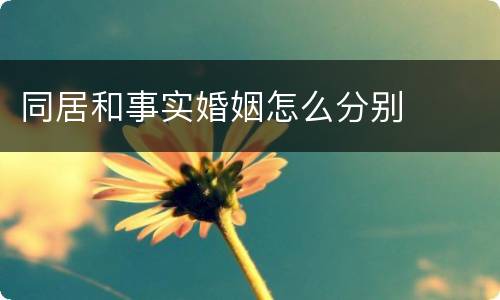 同居和事实婚姻怎么分别