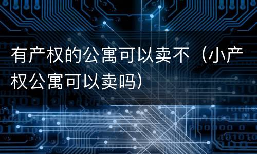有产权的公寓可以卖不（小产权公寓可以卖吗）
