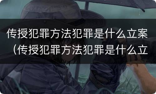 传授犯罪方法犯罪是什么立案（传授犯罪方法犯罪是什么立案的）