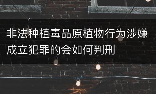 非法种植毒品原植物行为涉嫌成立犯罪的会如何判刑