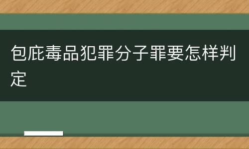 包庇毒品犯罪分子罪要怎样判定