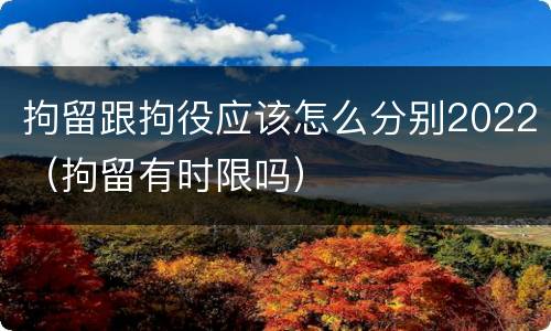 拘留跟拘役应该怎么分别2022（拘留有时限吗）