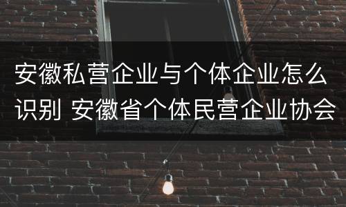 安徽私营企业与个体企业怎么识别 安徽省个体民营企业协会官网