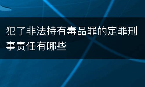 犯了非法持有毒品罪的定罪刑事责任有哪些