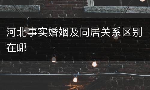 河北事实婚姻及同居关系区别在哪