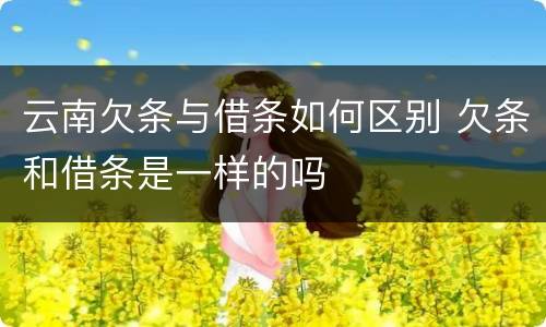 云南欠条与借条如何区别 欠条和借条是一样的吗