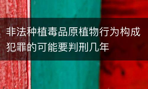 非法种植毒品原植物行为构成犯罪的可能要判刑几年