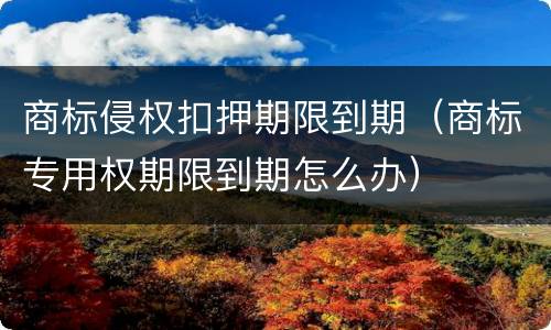 商标侵权扣押期限到期（商标专用权期限到期怎么办）