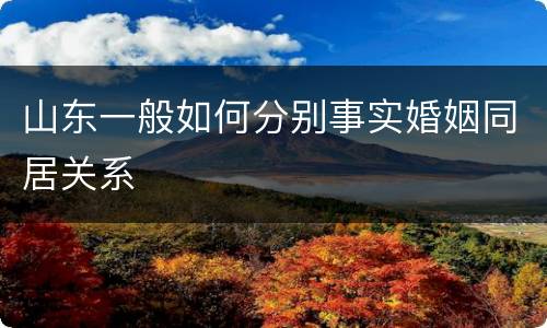 山东一般如何分别事实婚姻同居关系