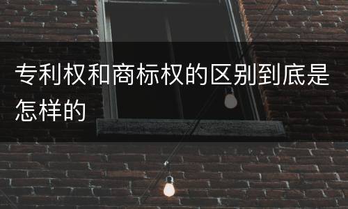 专利权和商标权的区别到底是怎样的