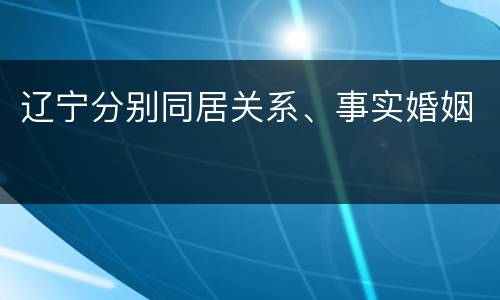 辽宁分别同居关系、事实婚姻