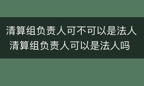 清算组负责人可不可以是法人 清算组负责人可以是法人吗