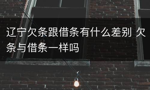 辽宁欠条跟借条有什么差别 欠条与借条一样吗