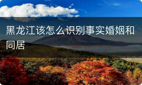 黑龙江该怎么识别事实婚姻和同居