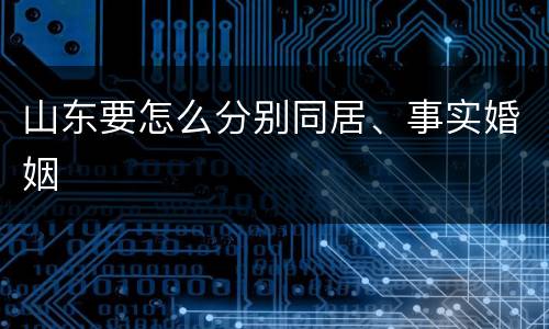 山东要怎么分别同居、事实婚姻