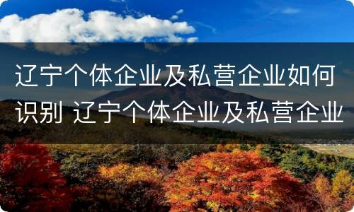 辽宁个体企业及私营企业如何识别 辽宁个体企业及私营企业如何识别真假