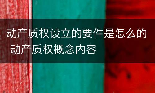 动产质权设立的要件是怎么的 动产质权概念内容