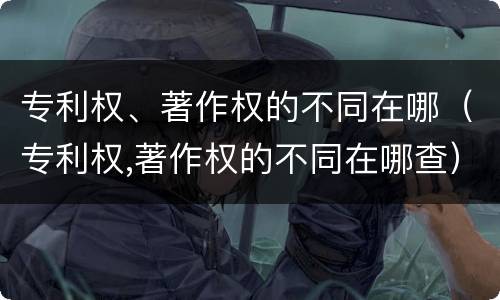 专利权、著作权的不同在哪（专利权,著作权的不同在哪查）