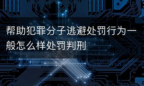 帮助犯罪分子逃避处罚行为一般怎么样处罚判刑