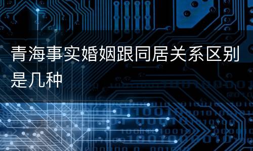 青海事实婚姻跟同居关系区别是几种