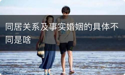 同居关系及事实婚姻的具体不同是啥